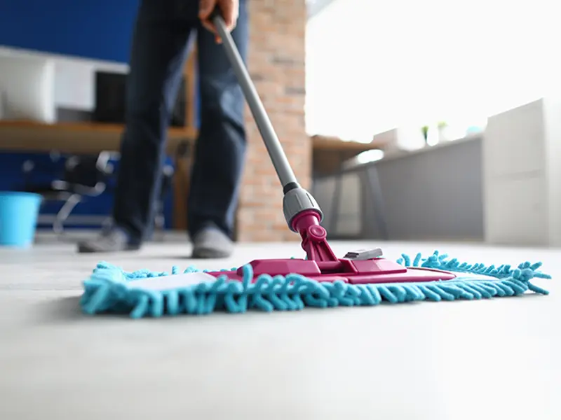 Iris Cleaning Services
