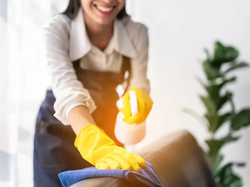 Iris Cleaning Services