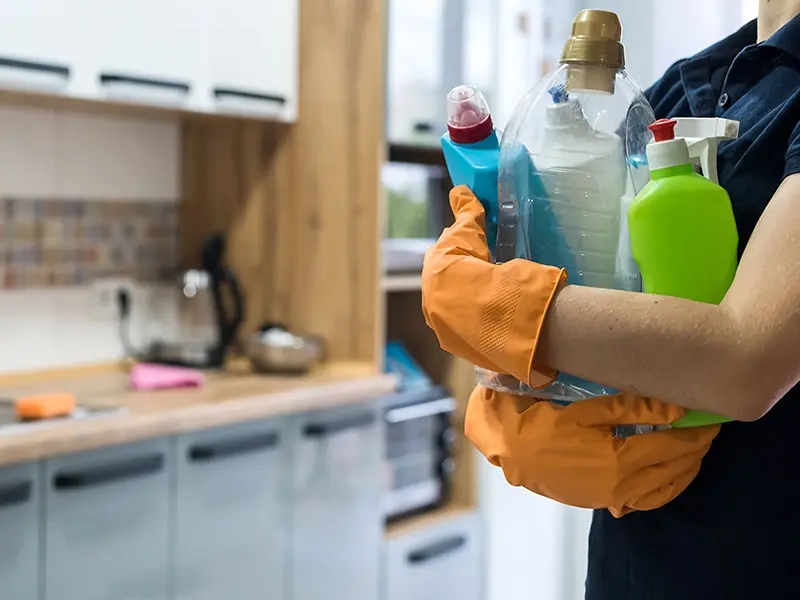 Iris Cleaning Services