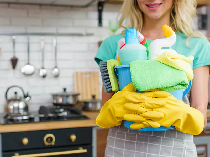 Iris Cleaning Services