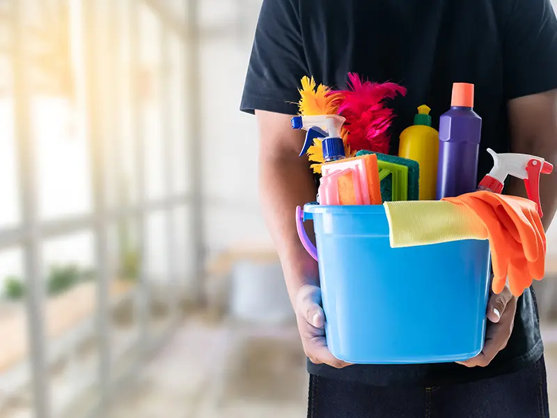 Iris Cleaning Services