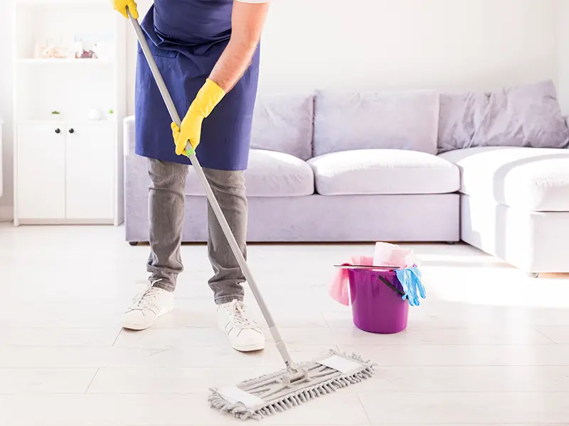 Iris Cleaning Services
