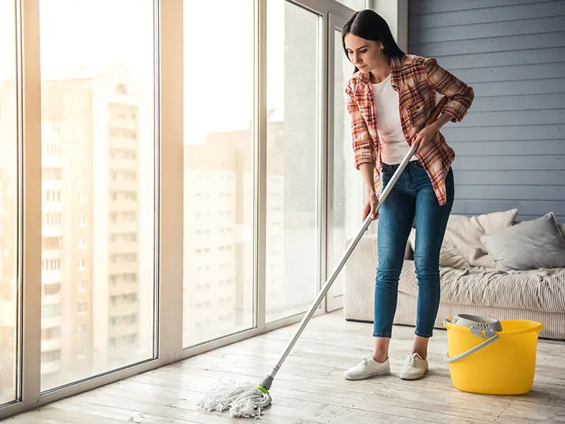 Iris Cleaning Services